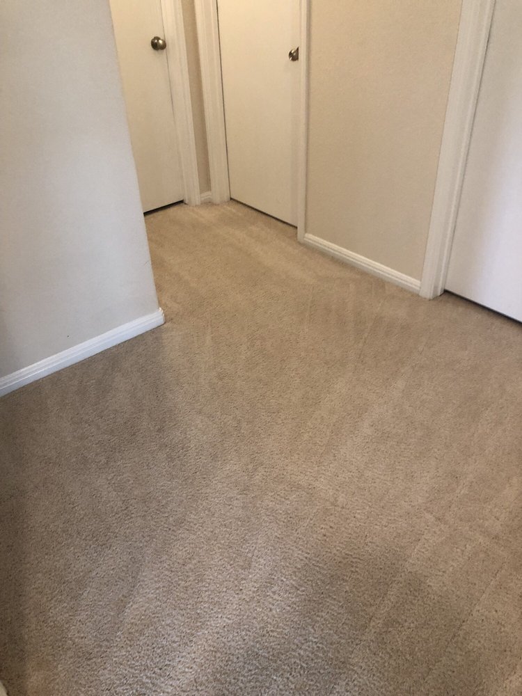 Photo of Magic Mike's Steam Cleaning