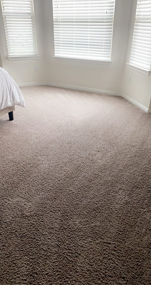 Photo of Magic Mike's Steam Cleaning
