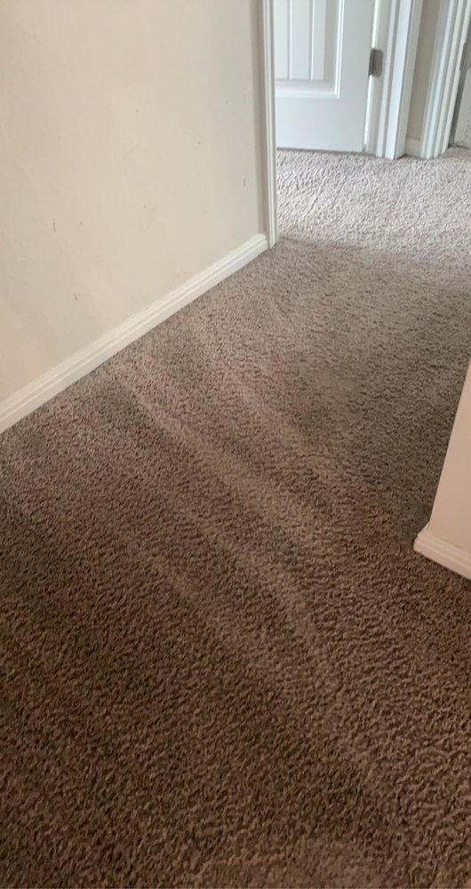 Photo of Magic Mike's Steam Cleaning