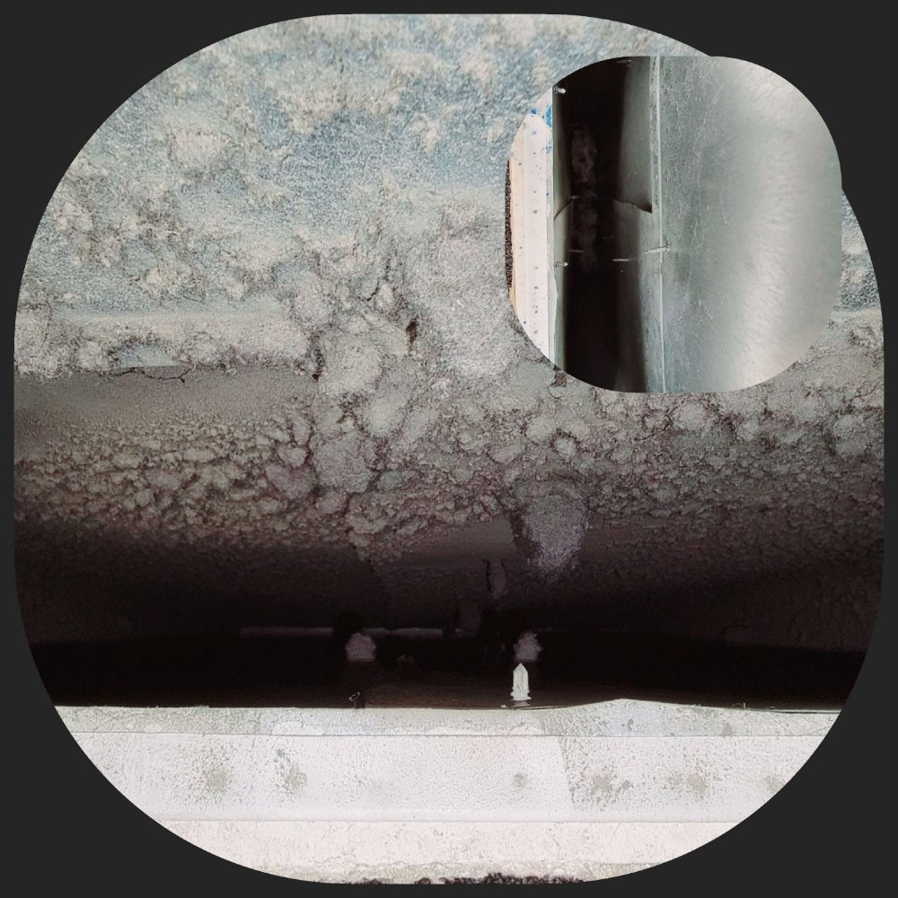 Photo of Monster Steamer & Air Duct Cleaning