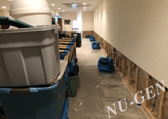 Photo of Nu-Gen Cleaning & Restoration