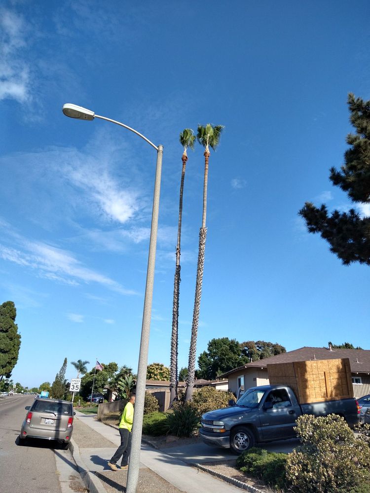 Photo of Green Compass Landscape And Maintenance