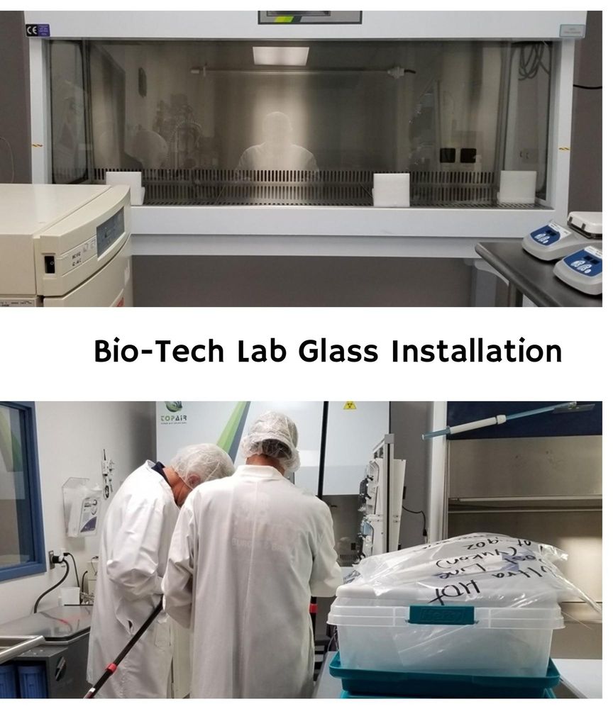 Photo of Great Dane Glass & Mirror