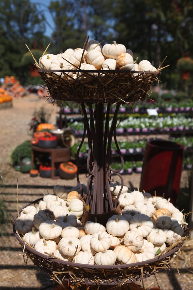 Photo of The Good Earth Garden Center