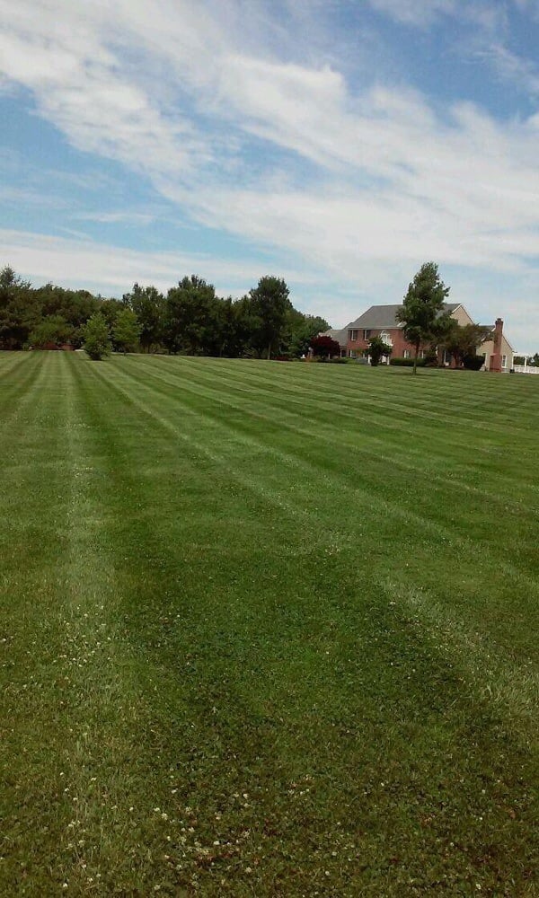 Photo of Lear's Lawn Service LLC