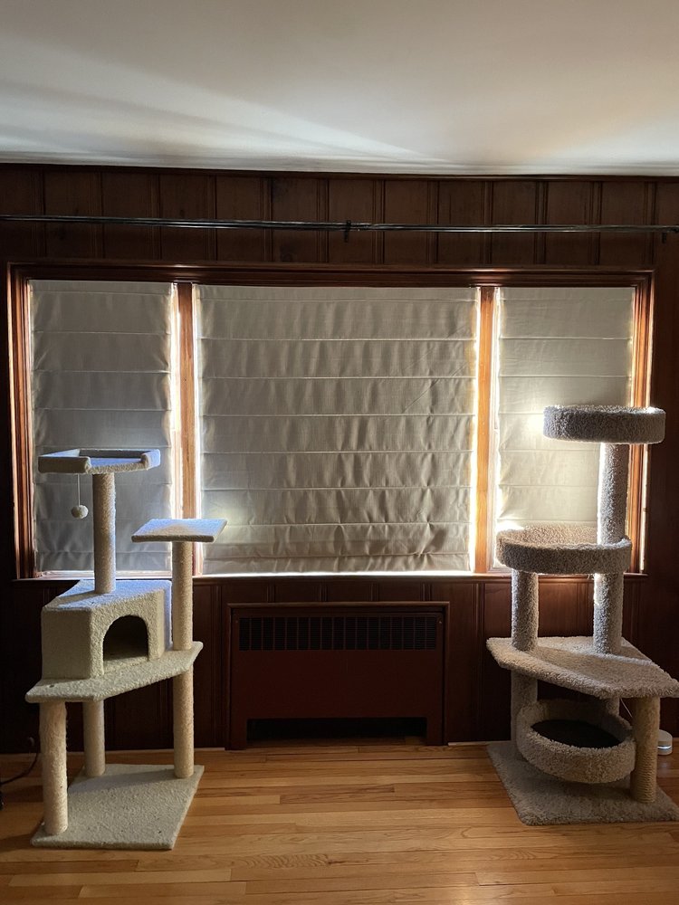 Photo of Blinds To Go