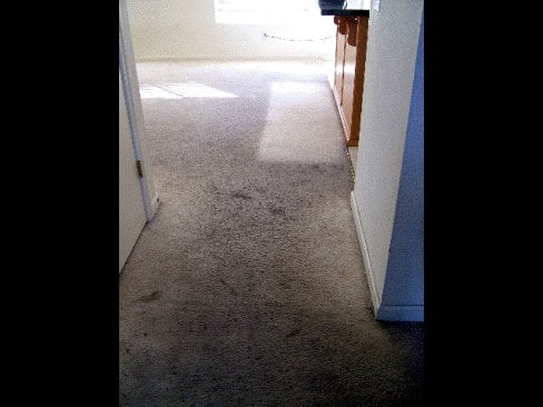 Photo of Good Lookn' Carpets