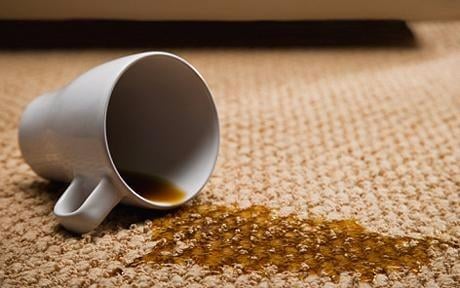 Photo of Gary's Carpet Cleaning and Upholstery