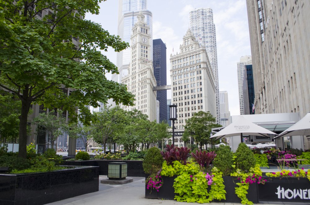 Photo of Streeterville Properties Group-Jameson Sotheby's