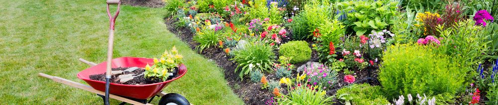 Photo of Beltrans Professional Lawn Care