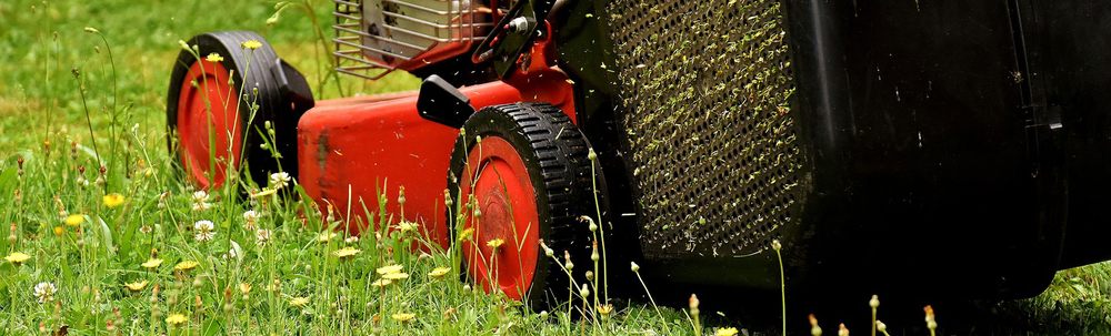 Photo of Beltrans Professional Lawn Care