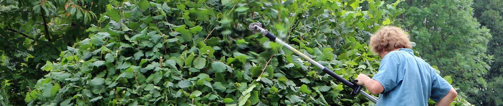 Photo of Beltrans Professional Lawn Care