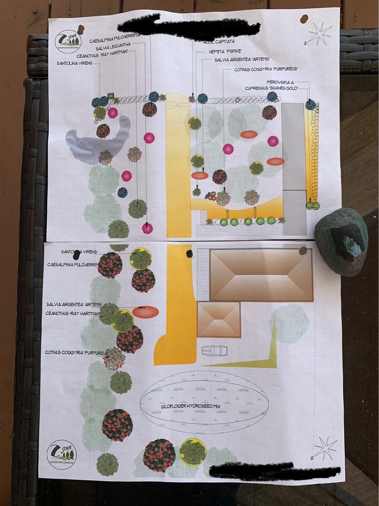 Photo of Zscape Landscape Designs
