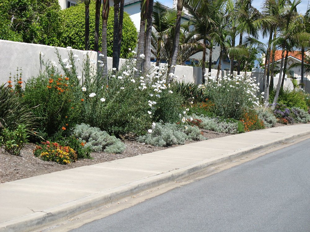Photo of Zscape Landscape Designs