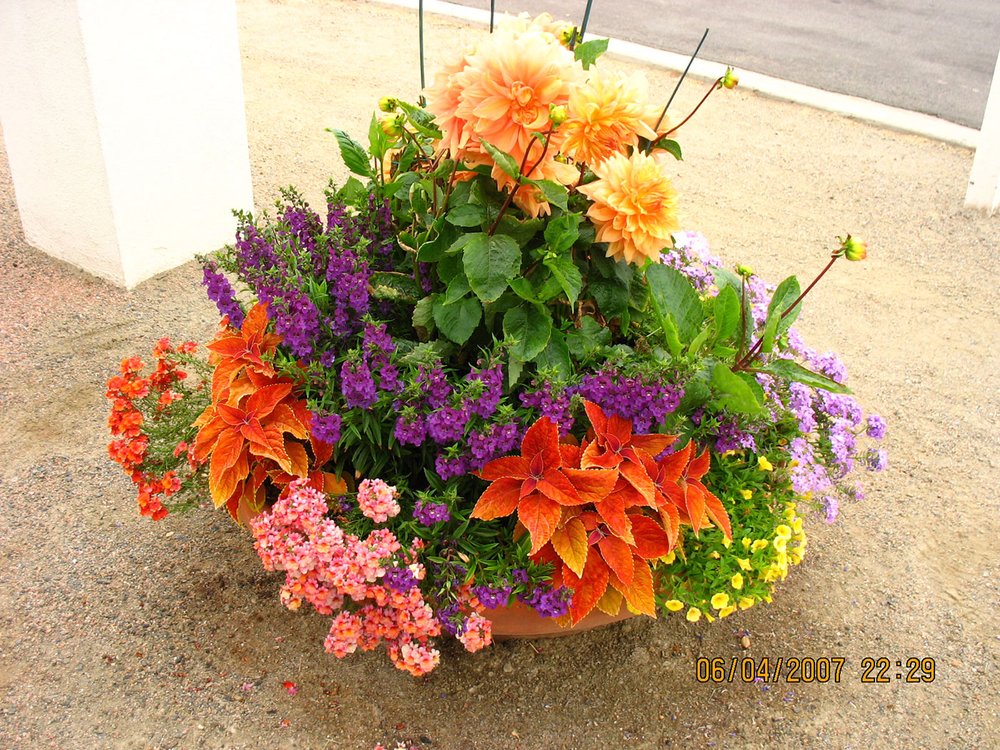Photo of Zscape Landscape Designs