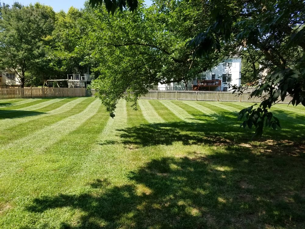 Photo of Gary's Lawn Service, LLC