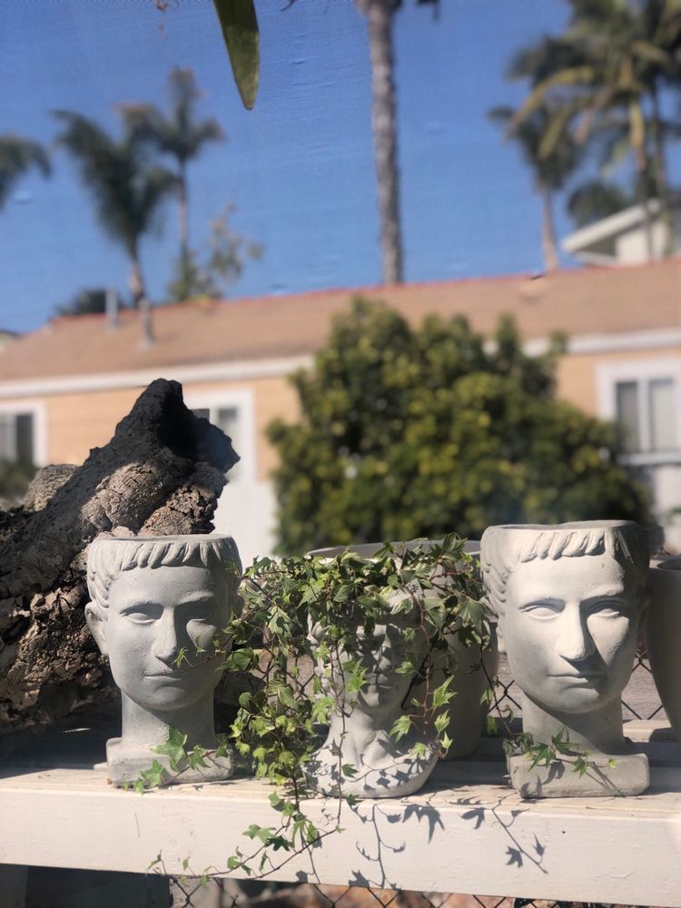 Photo of Gardens By the Sea Nursery