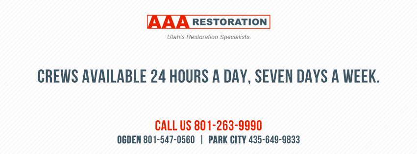 Photo of AAA Restoration - Murray