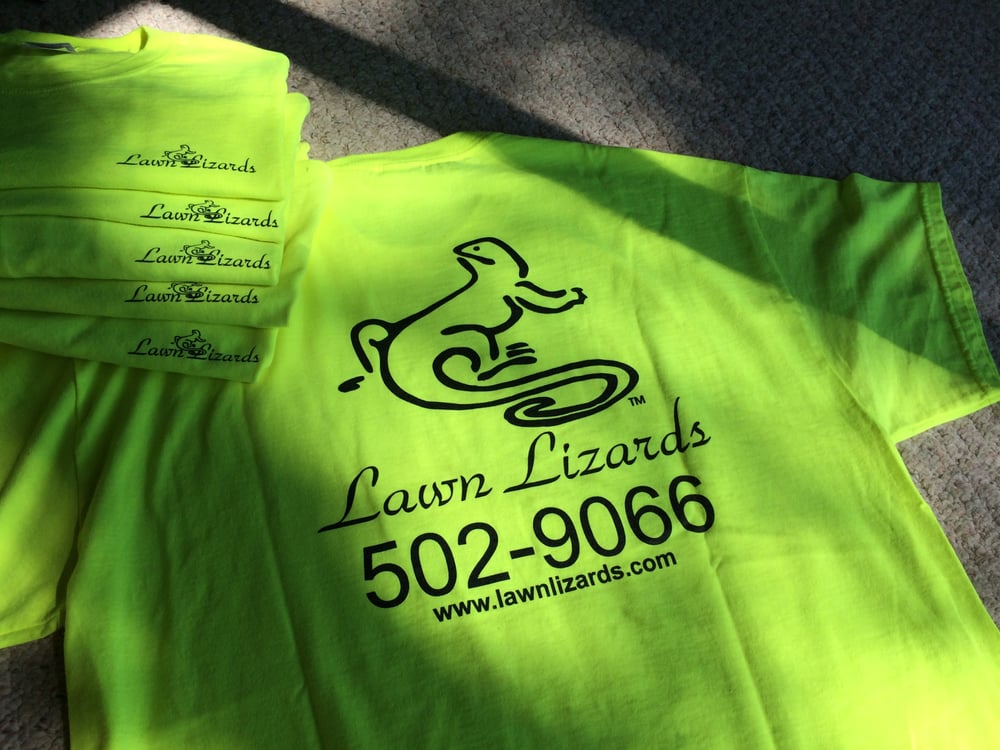Photo of Lawn Lizards, LLC
