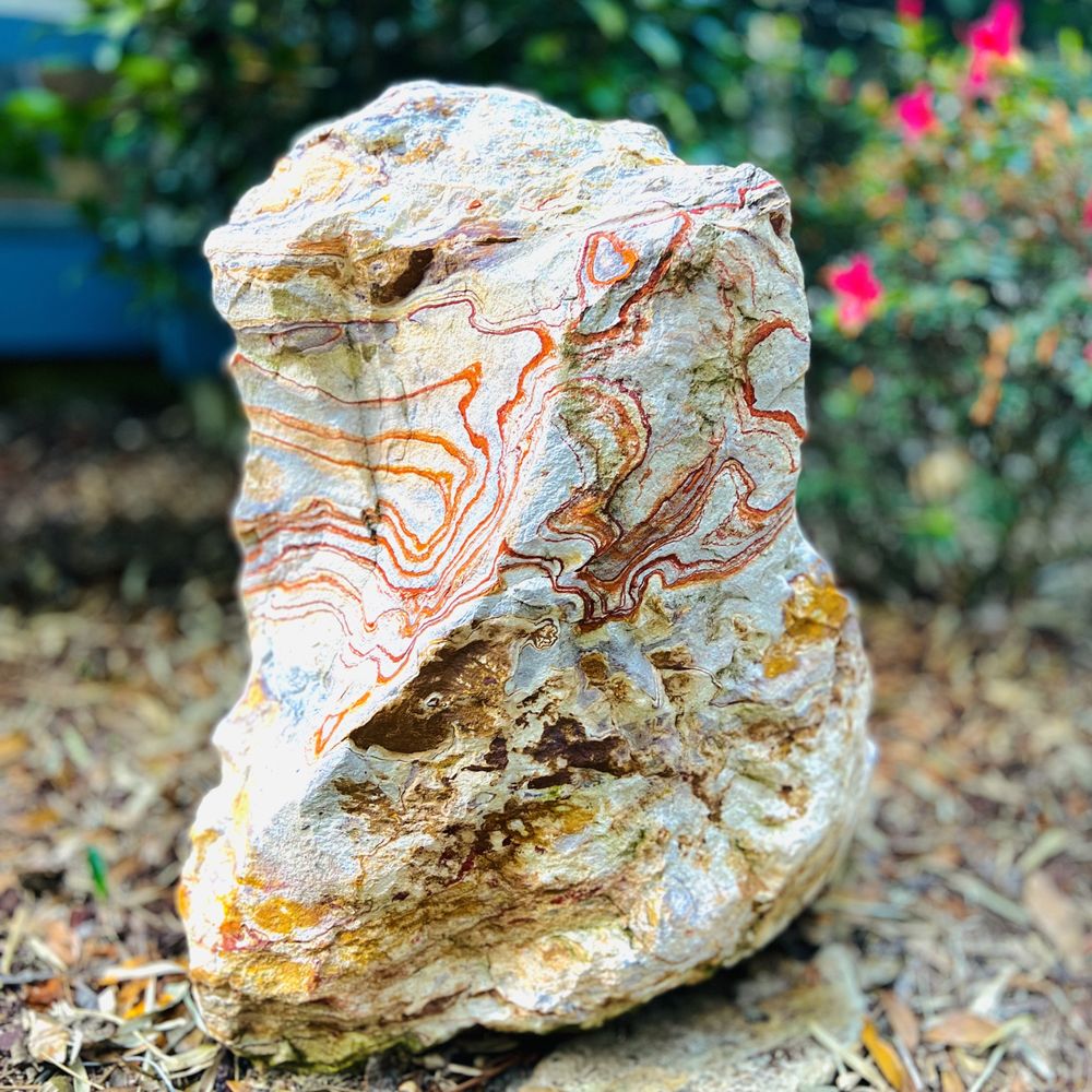Photo of Stone Plus