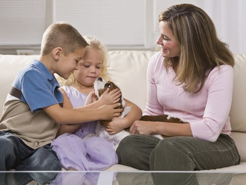 Photo of Affordable Clean Carpets