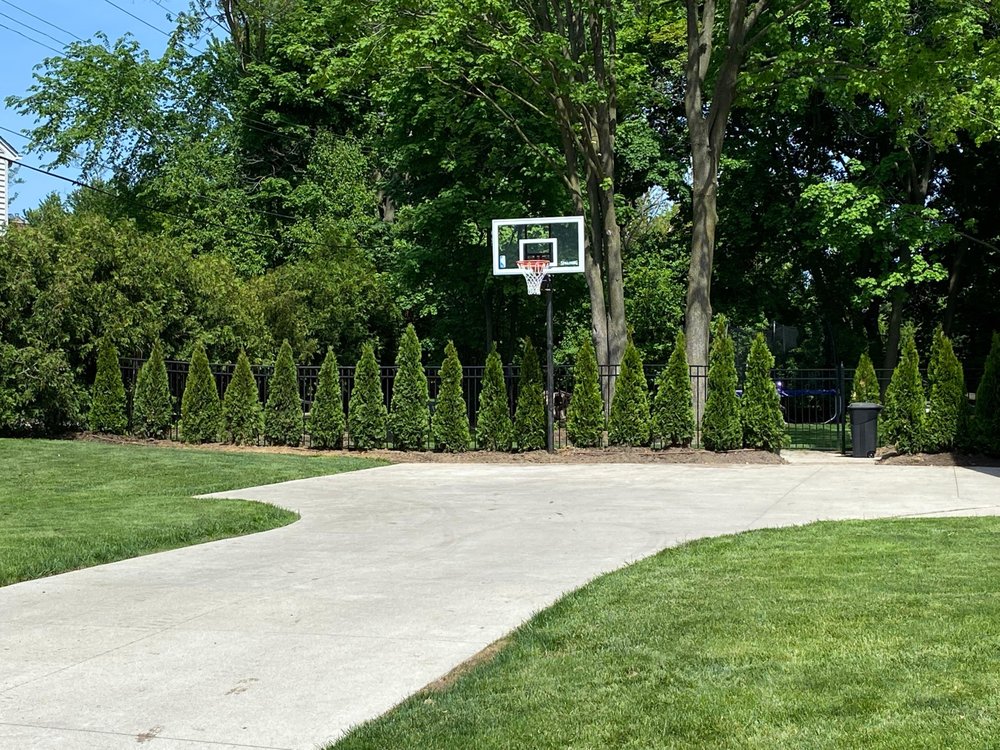 Photo of Little's Lawn & Landscaping