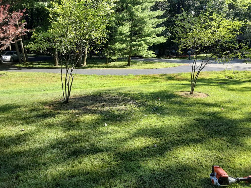 Photo of Little's Lawn & Landscaping