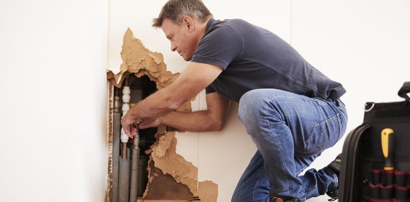 Photo of Structural Repair Of The Triad