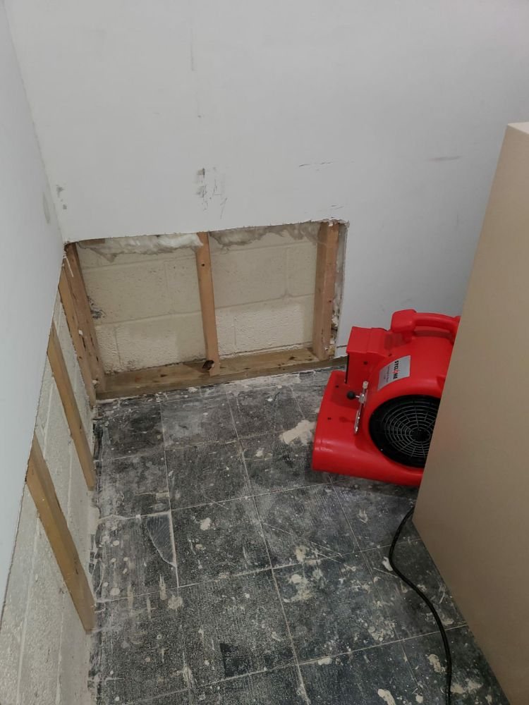 Photo of Global Carpet Cleaning & Water Damage Restoration