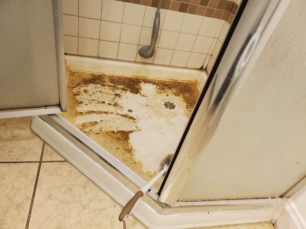 Photo of Global Carpet Cleaning & Water Damage Restoration