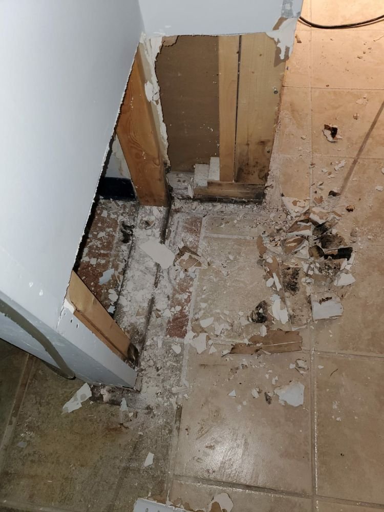 Photo of Global Carpet Cleaning & Water Damage Restoration