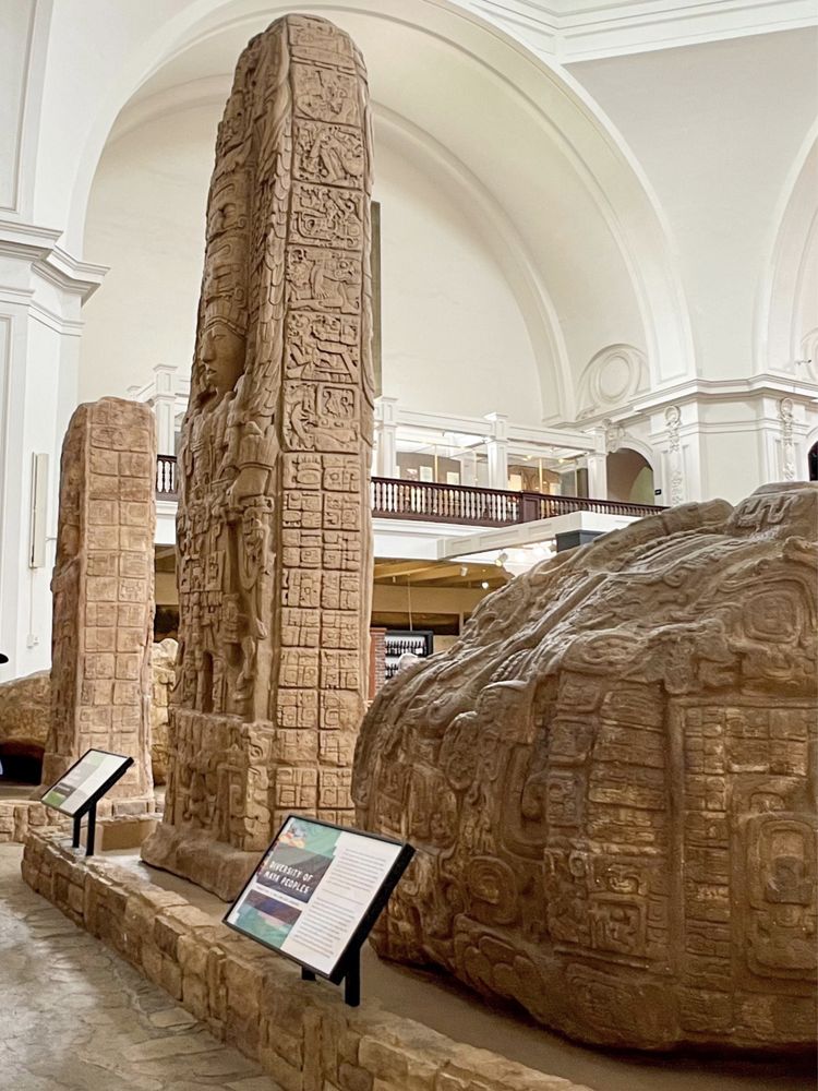 Photo of Museum of Us