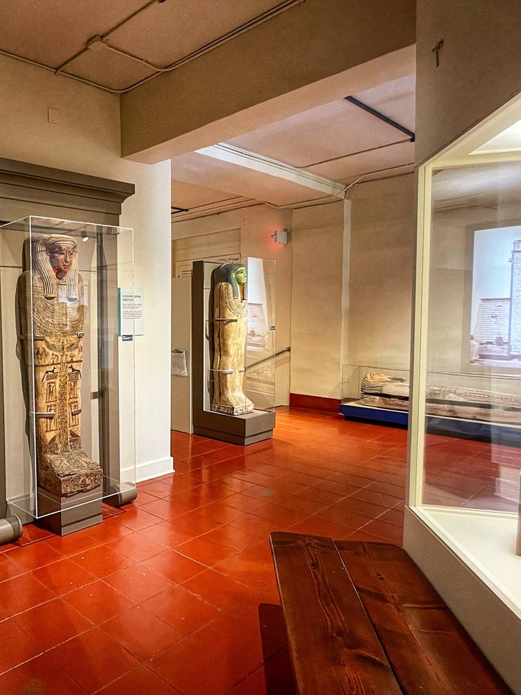 Photo of Museum of Us