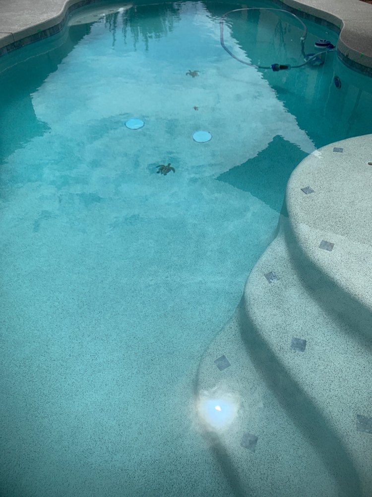 Photo of Trilogy Pools Service & Repair