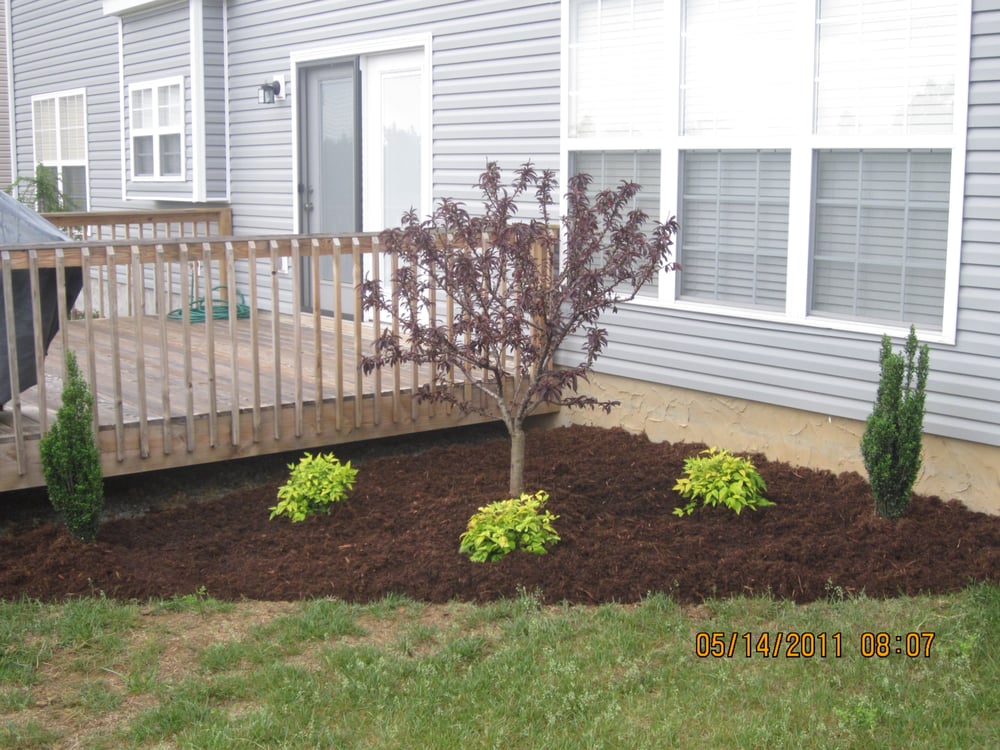 Photo of Wayne's Lawn Service