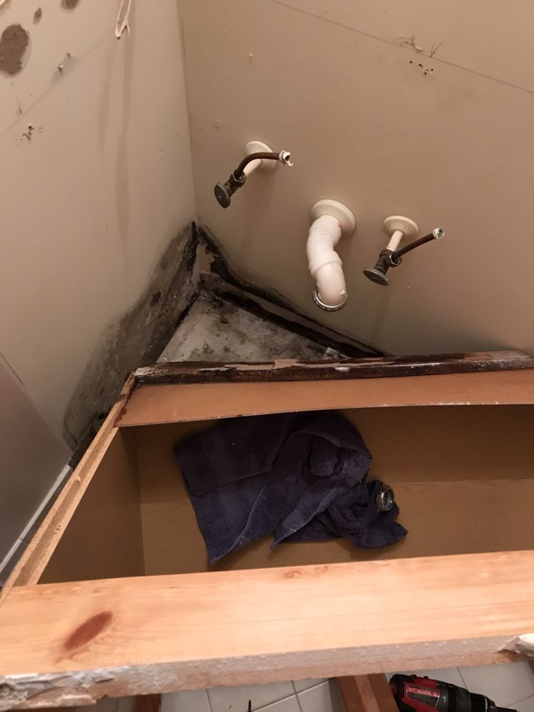 Photo of Restoration 1 of Springfield