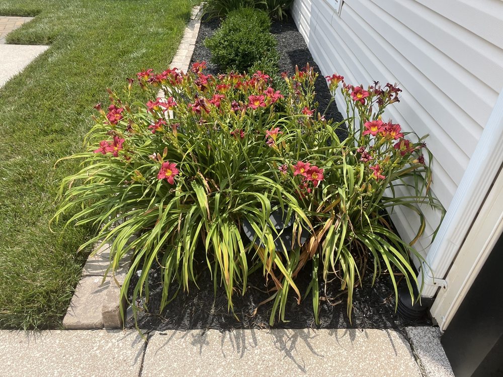 Photo of Baxter Gardens of Chesterfield