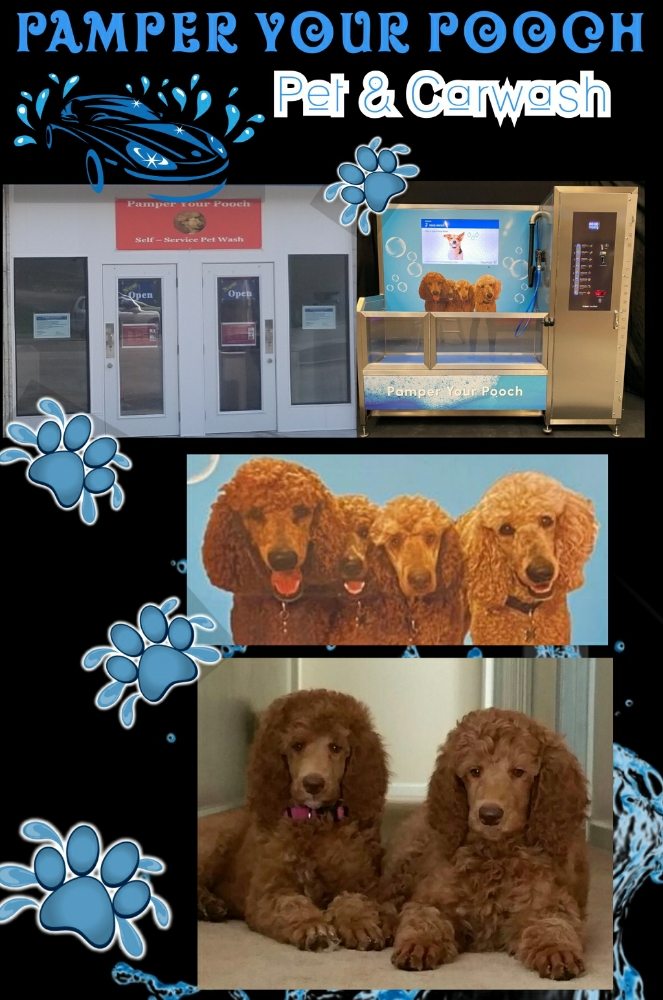 Photo of Pamper Your Pooch Pet and Carwash