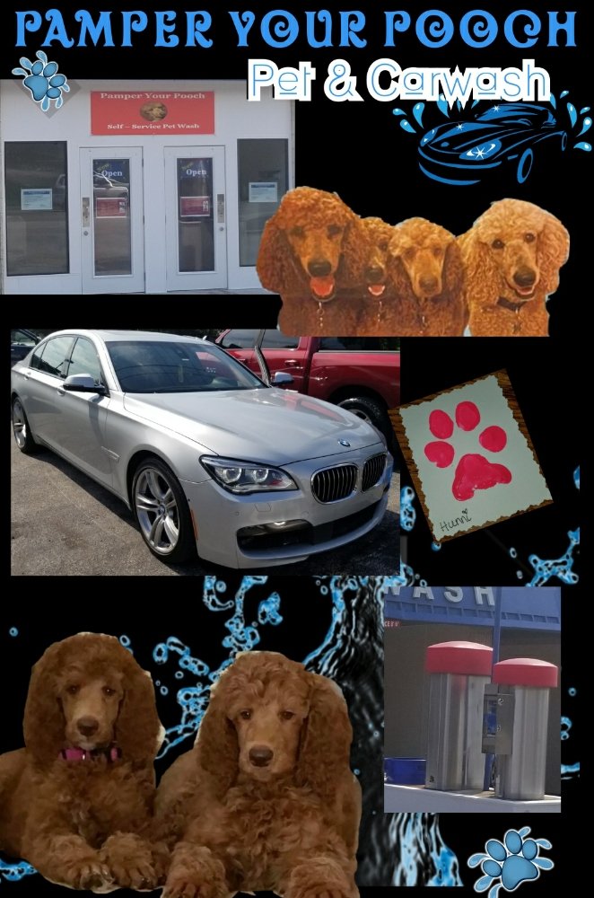 Photo of Pamper Your Pooch Pet and Carwash
