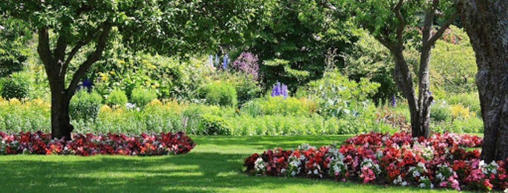 Photo of Picture Perfect Lawn Care Service