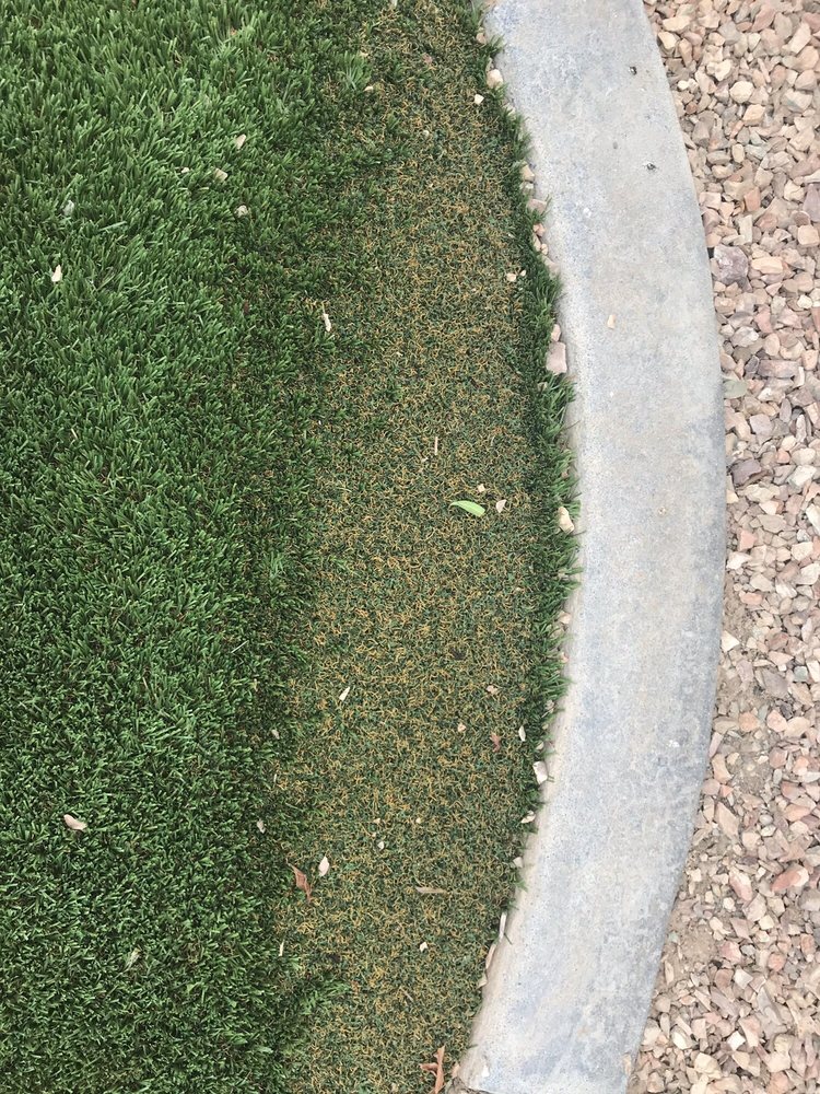 Photo of Evergreen Synthetic Lawns & Putting Greens