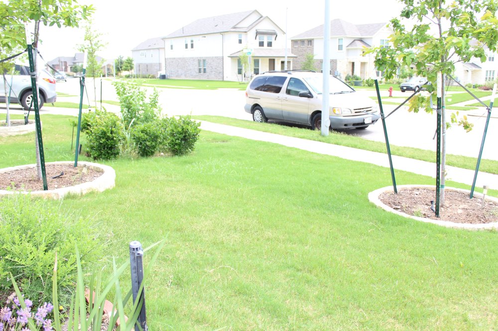 Photo of Professional Landscaping and Tree Service