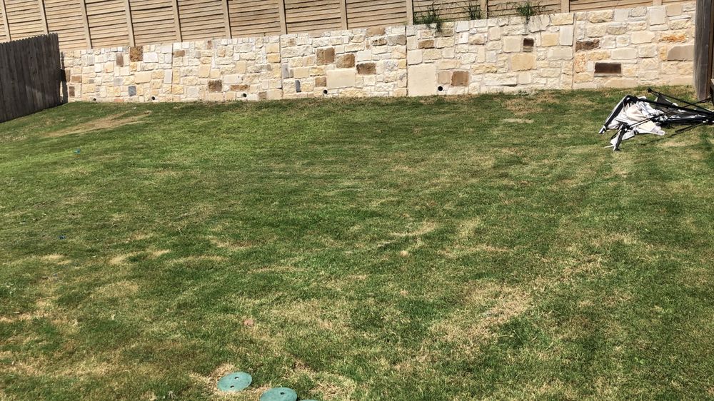 Photo of Professional Landscaping and Tree Service
