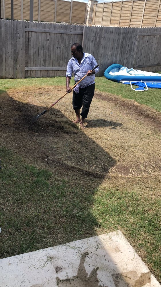 Photo of Professional Landscaping and Tree Service