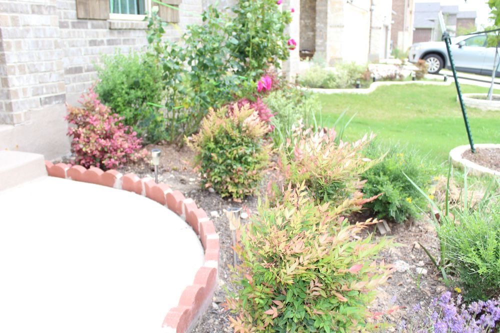 Photo of Professional Landscaping and Tree Service