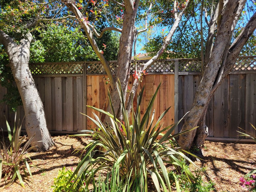 Photo of Dave's Landscaping