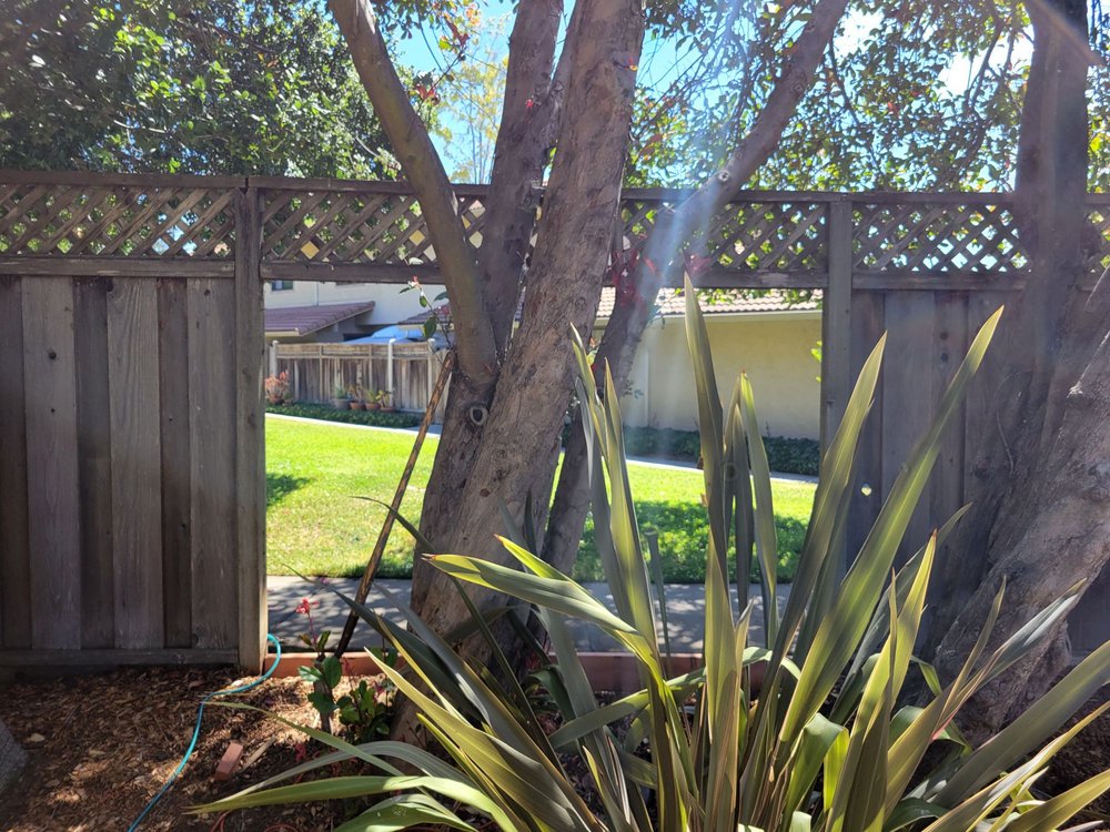 Photo of Dave's Landscaping