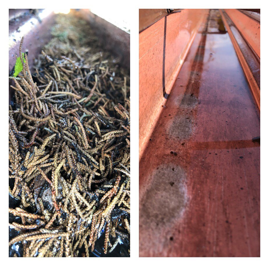 Photo of Freshwater Exteriors