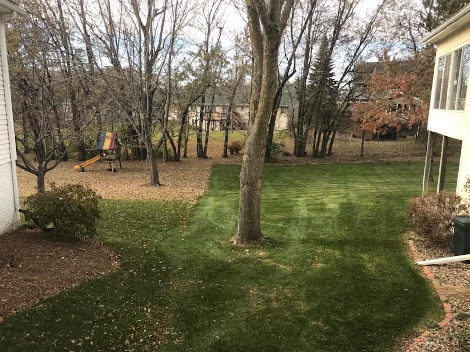 Photo of Jaques Lawn Care