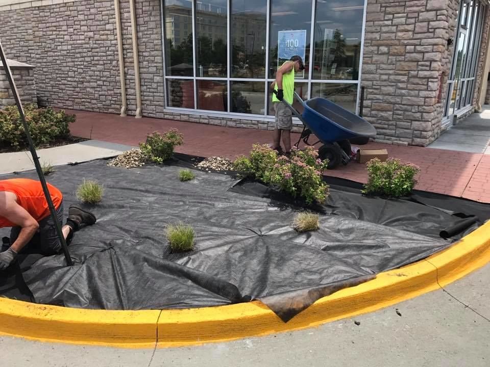 Photo of Jaques Lawn Care